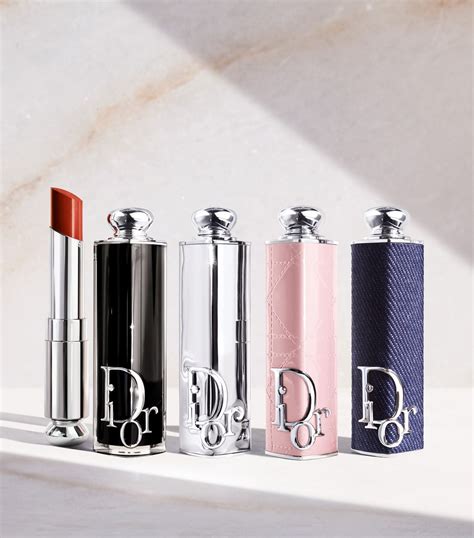 dior lipstick.case|Addict Lipstick Fashion Case .